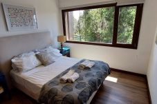 Apartamento em San Carlos de Bariloche - BARRANCAS DE MELIPAL